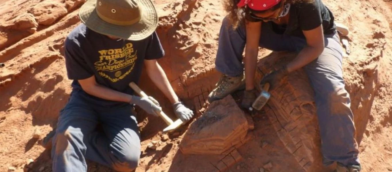 Αργεντινή: Ανακαλύφθηκε κρανίο σαρκοφάγου δεινόσαυρου χωρίς χέρια